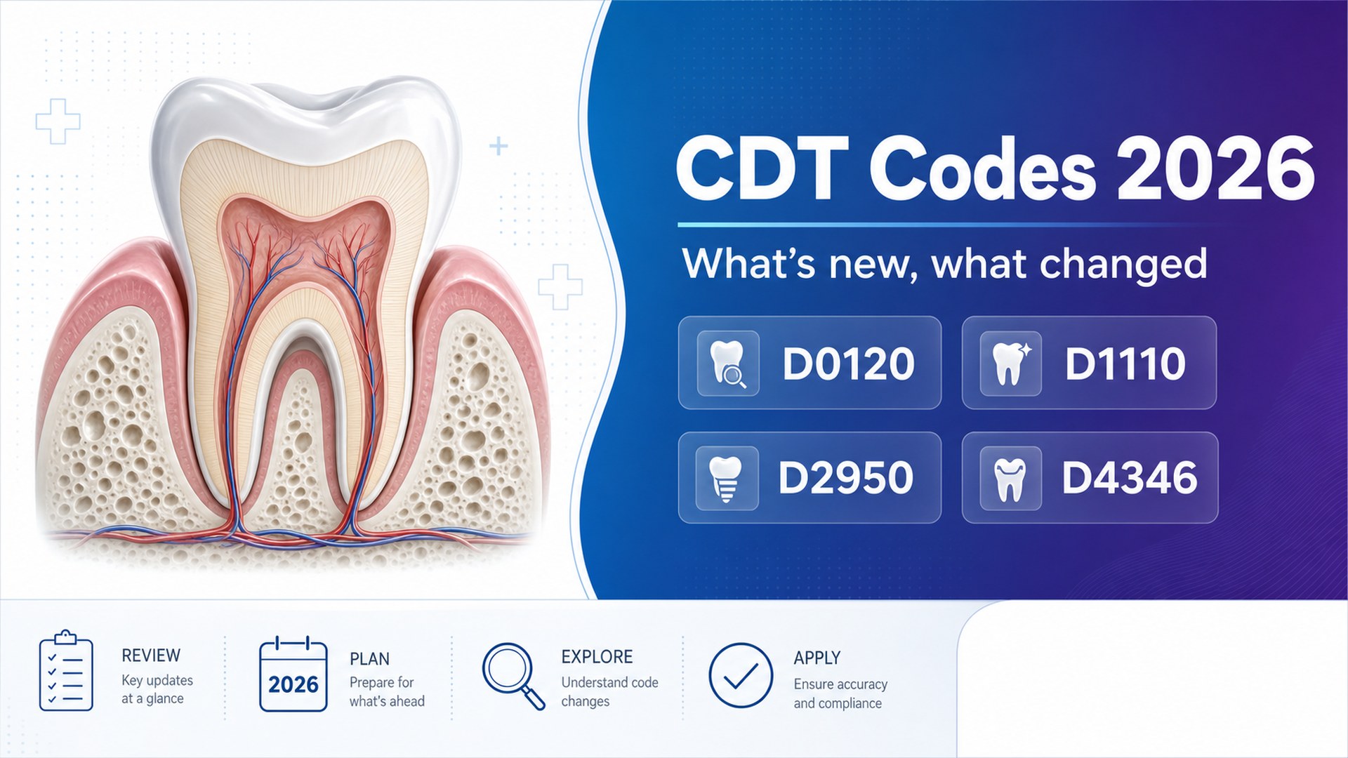 CDT Codes 2026: What's New, What Changed, and How to Bill Correctly